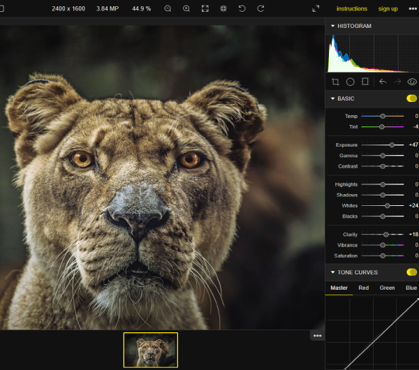 Screenshot of Polarr's advanced online photo editor interface displaying various editing tools and a sample image.