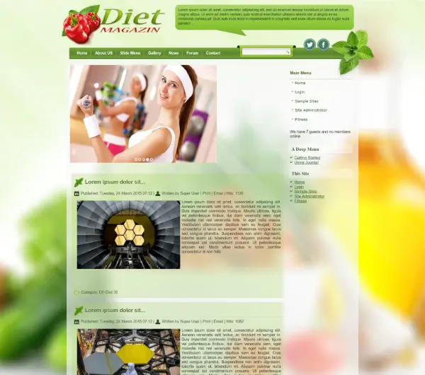 image joomla 3 template DIET MAGAZINE